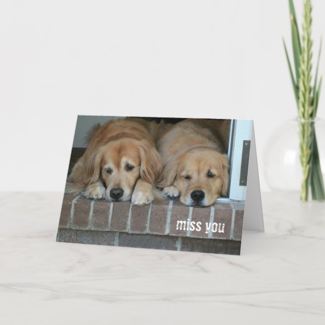 Two Sad Golden Retriever Dogs Miss You Card (Front)