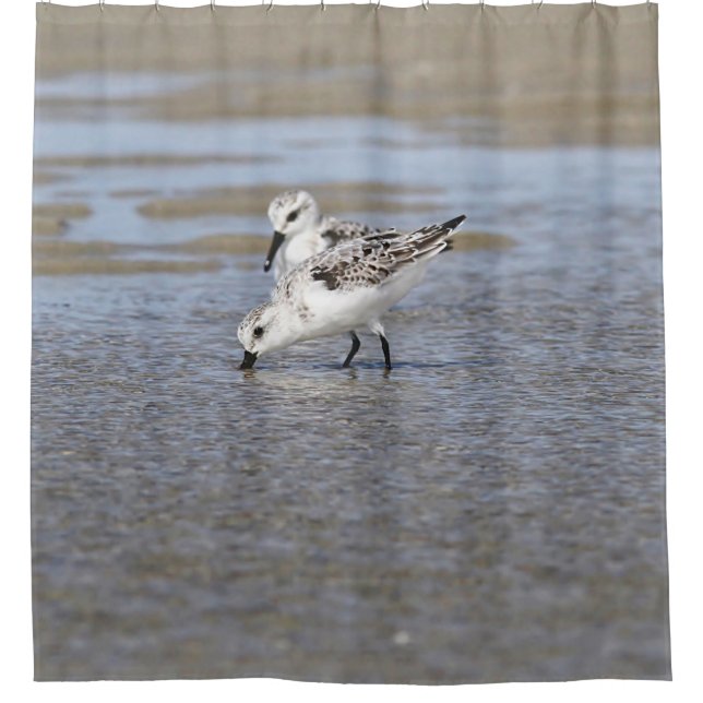 Two Sanderlings Shower Curtain (Front)
