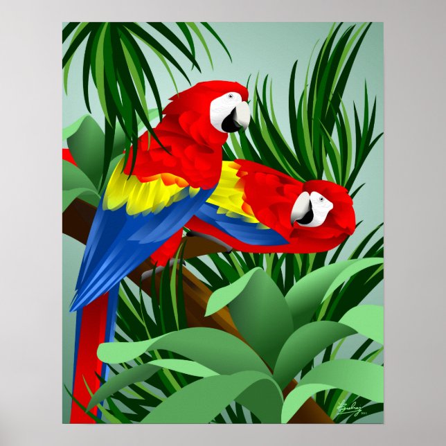 Two Scarlet Macaws Poster (Front)