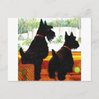Two Scottie Dogs At Christmas Holiday Postcard