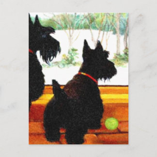 Two Scottie Dogs Waiting for Santa Claus Holiday Postcard