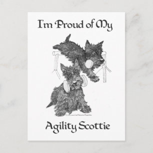 Two Scottish Terriers Agility Postcard