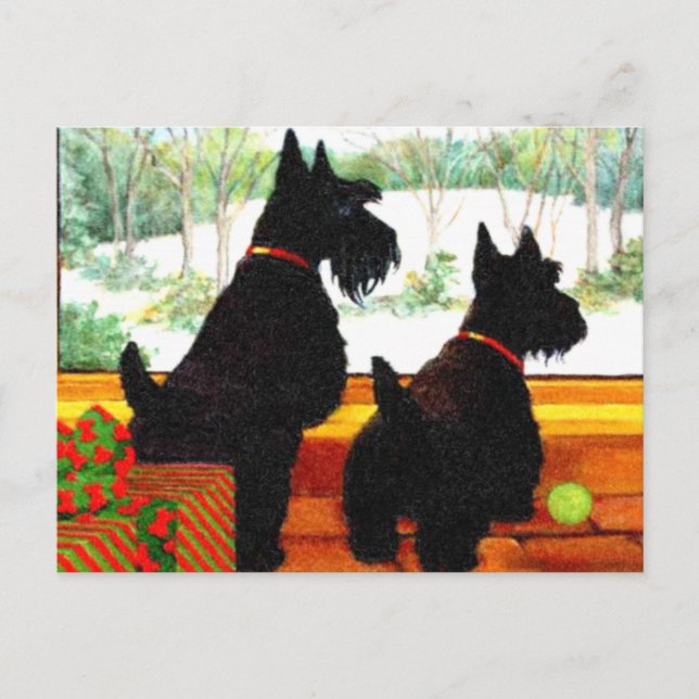 Two Scotty Dogs at Christmas Holiday Postcard (Front)