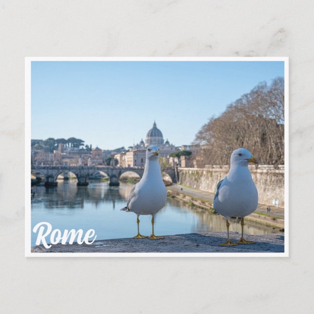 Two seagulls against the stunning backdrop of Rome Postcard (Front)