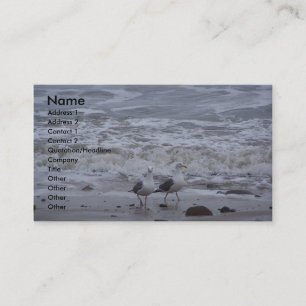 Two Seagulls Business Card