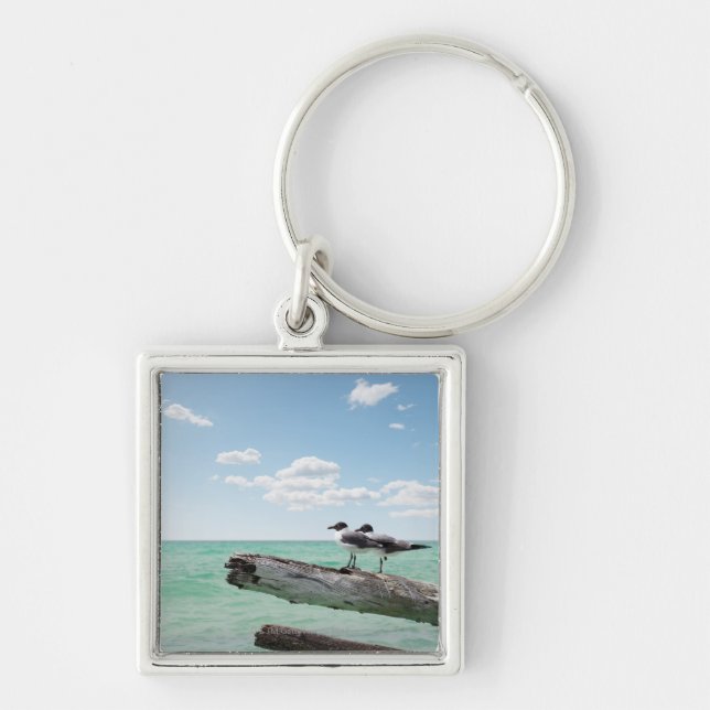 Two seagulls sitting on a dead tree sticking out key ring (Front)