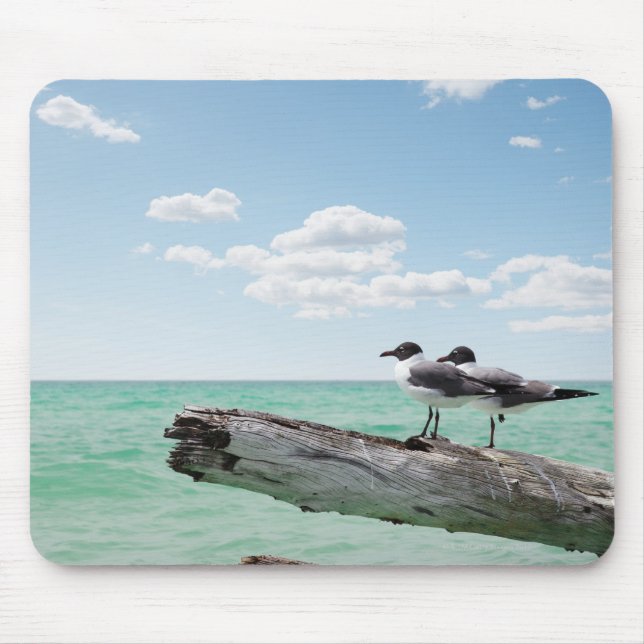 Two seagulls sitting on a dead tree sticking out mouse pad (Front)