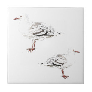 Two seagulls Watercolour Sketch Birds Tile