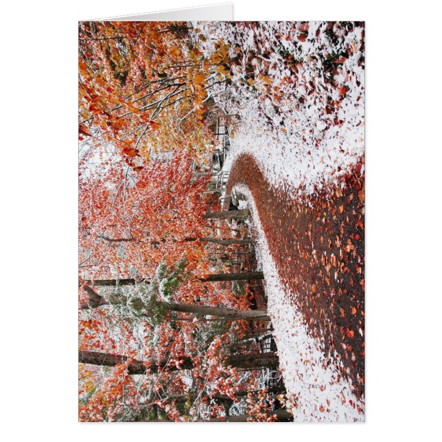 Two Seasons (Front)