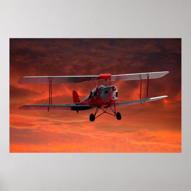 Two seater Tigermoth Poster (Front)