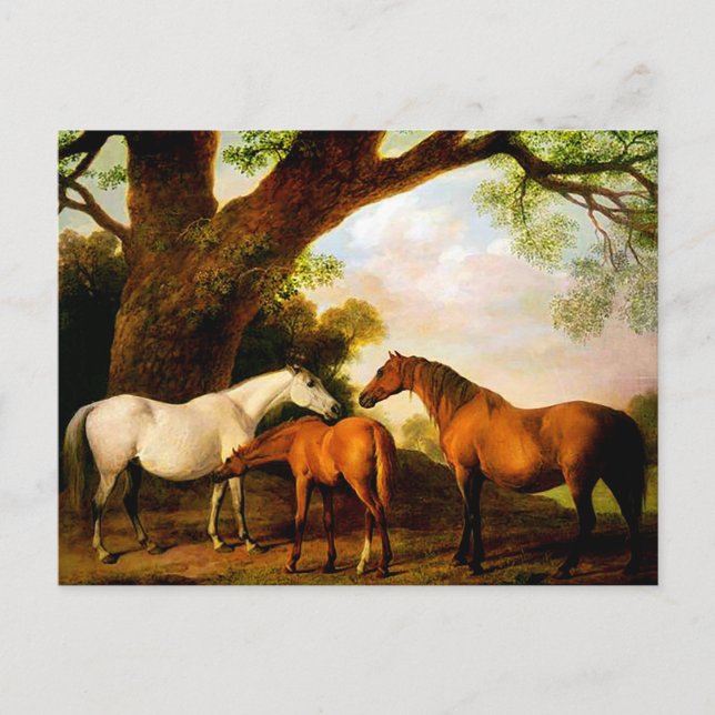 Two Shafto Mares and a Foal by George Stubbs Postcard (Front)