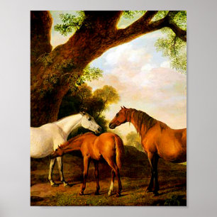 Two Shafto Mares and a Foal by George Stubbs Poster