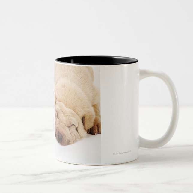 Two Shar Pei puppies sleeping Two-Tone Coffee Mug (Right)