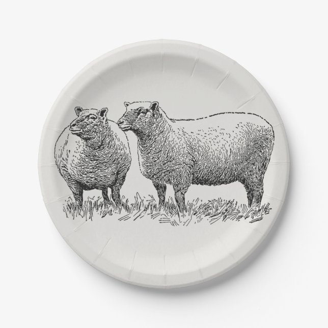 Two Sheep Illustrated Art Paper Plate (Front)