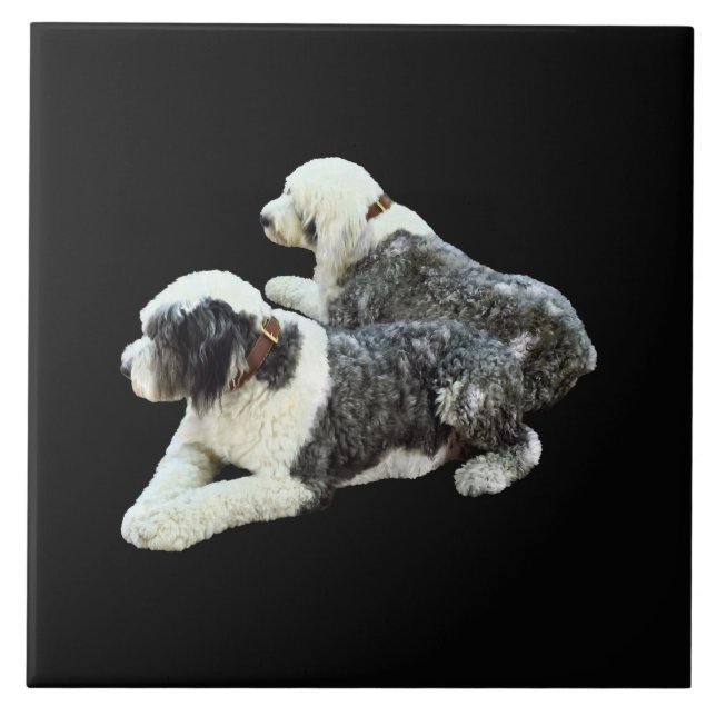 Two Sheepdogs Tile (Front)