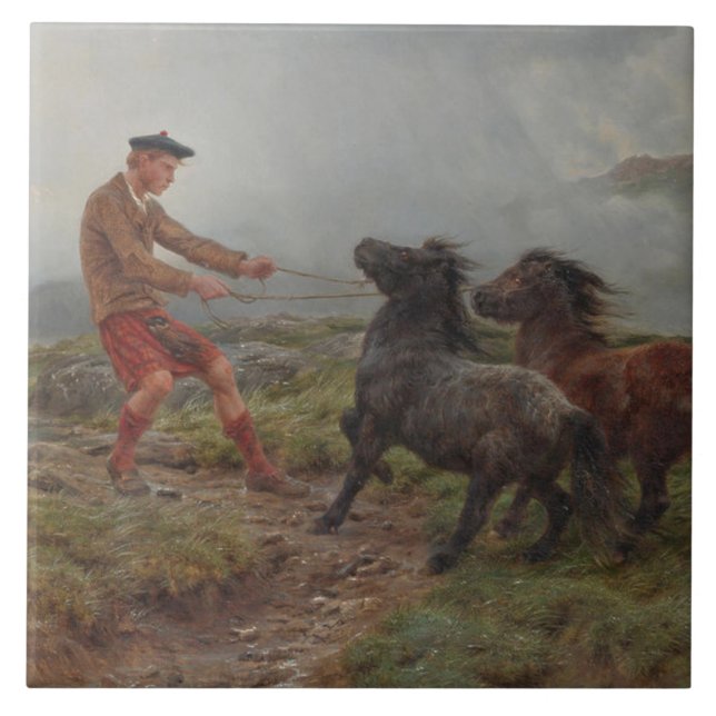 Two Shetland Ponies in a Misty Highland Landscape Tile (Front)