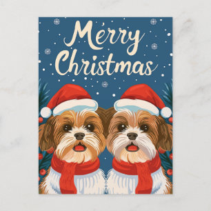Two Shi Tzu Merry Christmas Postcard
