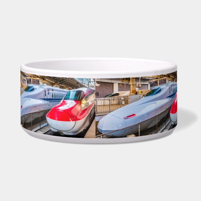 Two Shinkansen at the Tokyo Station (Front)