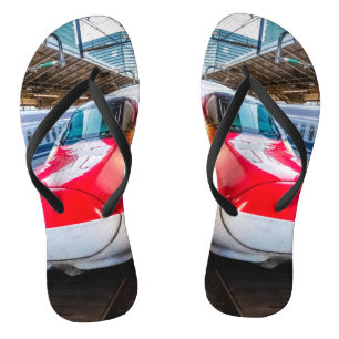 Two Shinkansen at the Tokyo Station Jandals