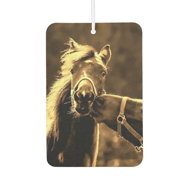 Two Side Photo Car Air Fresheners (Front)