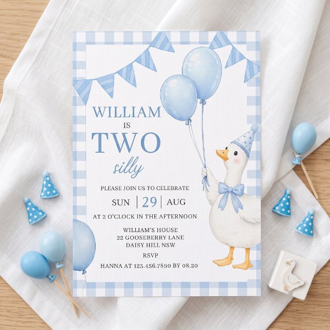 Two Silly Blue Gingham Boy 2nd Birthday Invitation (Creator Uploaded)