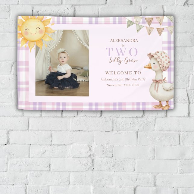Two Silly Goose Girl 2nd Birthday Photo Welcome  Banner (Creator Uploaded)