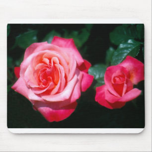 Two Silver Jubilee rose flowers Mouse Pad