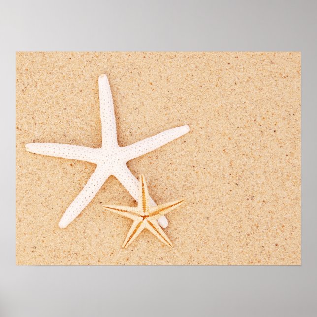 Two Simple Starfish Poster (Front)