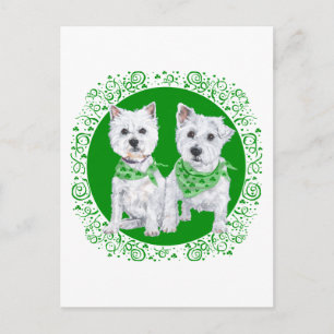 Two Sitting Westies on St Patricks Day Postcard