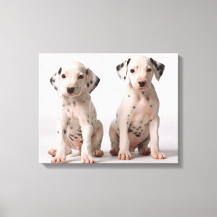 Two Small Black And White Dalmatian Puppies Canvas Print