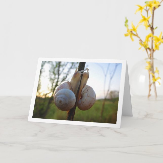 Two Snails on a Stem Card (Yellow Flower)