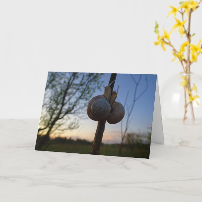 Two Snails on a Stem Card (Yellow Flower)