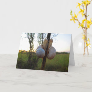Two Snails on a Stem Card