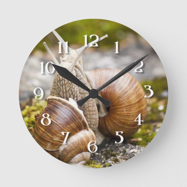 Two Snails Round Clock (Front)