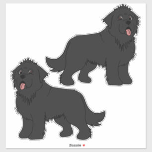 Two Solid Black Newfoundlands