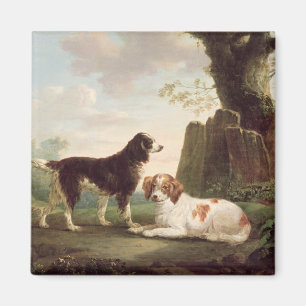 Two spaniels in a landscape magnet