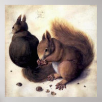 ‘Two Squirrels’ by Albrecht Dürer