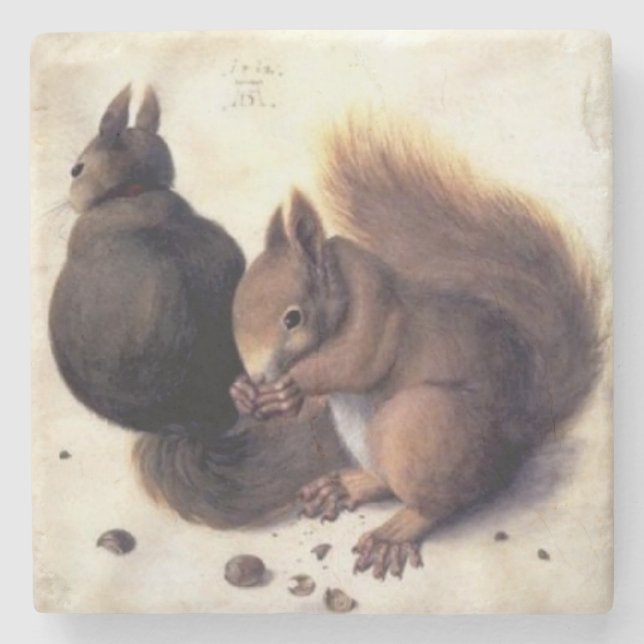 ‘Two Squirrels’ by Albrecht Dürer Stone Coaster (Front)