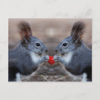 Two squirrels holding a read heart