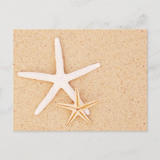 Two Starfish on a Beach Postcard (Front)