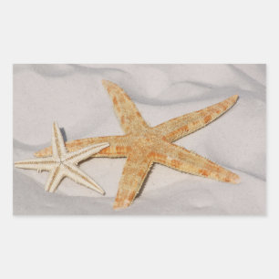 Two Starfish  Rectangular Stickers