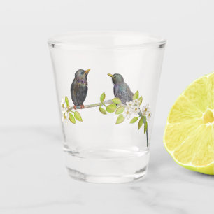 Two Starlings on a Blossoming Branch in Spring  Shot Glass