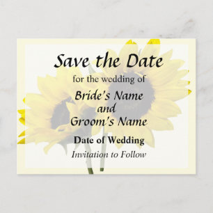 Two Sunflowers Announcement Postcard