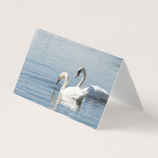 Two swans business card (Front)