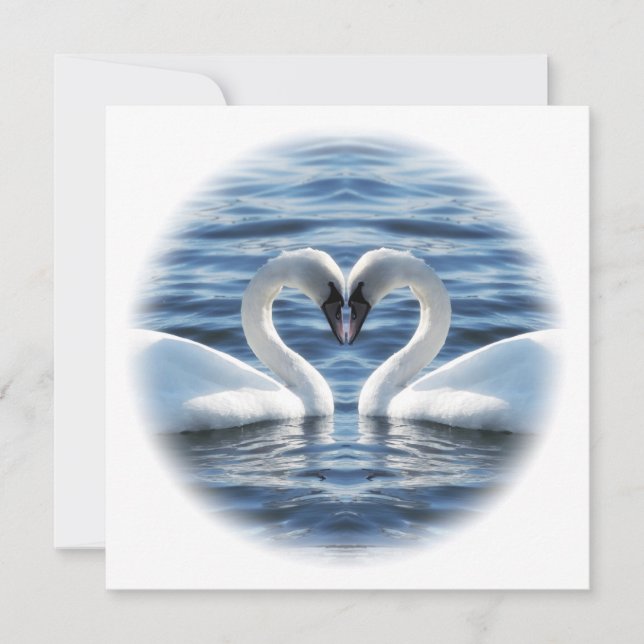 Two swans in love (Front)