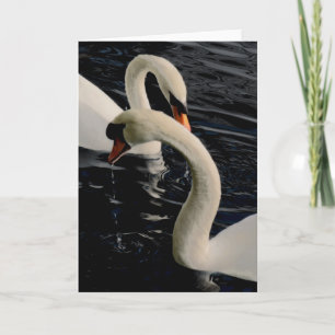 Two Swans on Lake Holiday Card