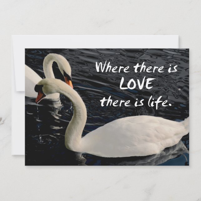 Two Swans on Lake Holiday Card (Front)