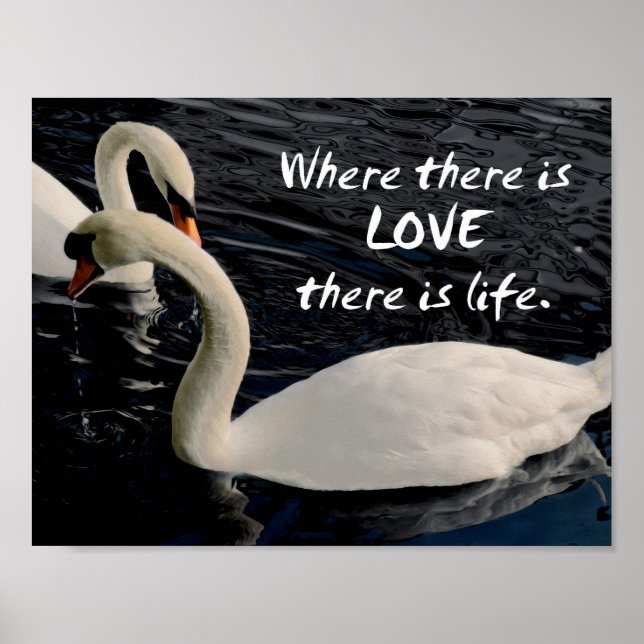 Two Swans on Lake Poster (Front)