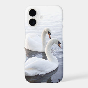 Two Swans Swimming on Tranquil Lake