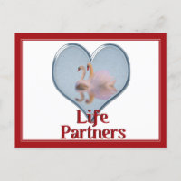 Two Swans Swimming w/text "Life Partners"